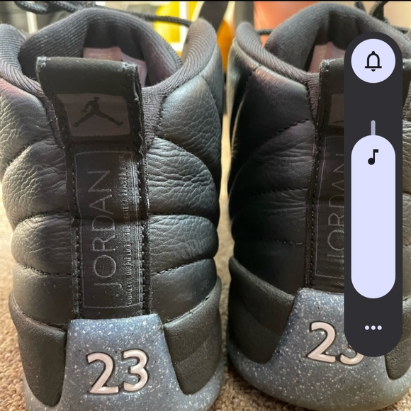 Jordan Other - Jordan 12 Retro Utility